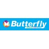 butterfly butterfly